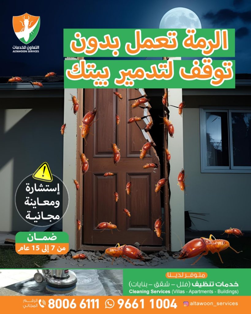 الرمة في الأثاث الخشبي: علامات مبكرة وخطوات الوقاية
