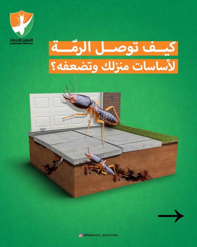 تنظيف بعد البناء أو الترميم في مسقط