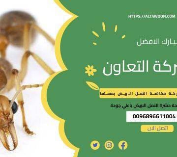 افضل شركة مكافحة الرمة النمل الأبيض في مسقط