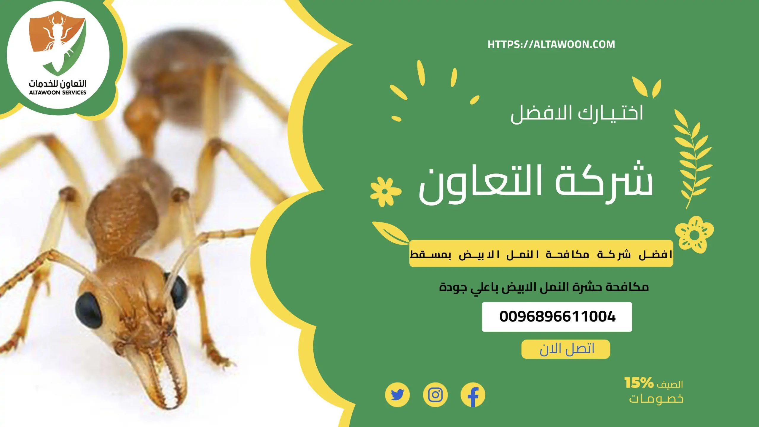 افضل شركة مكافحة الرمة النمل الأبيض في مسقط