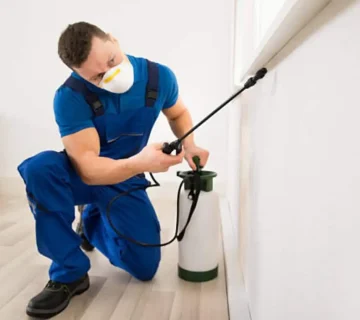 أحسن شركات مكافحة الرمة النمل الأبيض وجميع أنواع الحشرات 