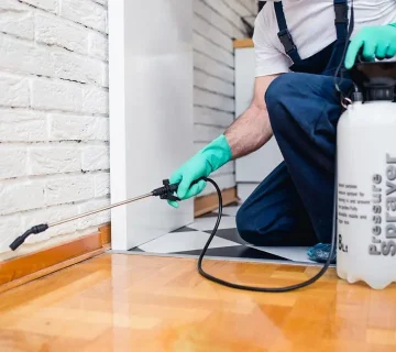 ارخص عقد سنوي مكافحة الحشرات من شركة التعاون للخدمات