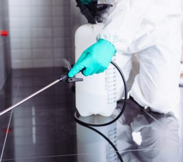 مزايا عقود السنوية لمكافحة الحشرات في مسقط 