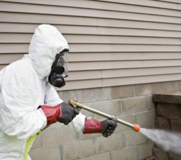 عقد سنوي لمكافحة الحشرات في مسقط سلطنة عمان