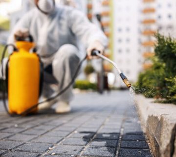 عقود سنوية لمكافحة القوارض المؤسسات والشركات