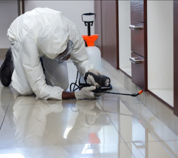 مكافحة الرمة في مطرح قريات مدينه السلطان قابوس مسقط