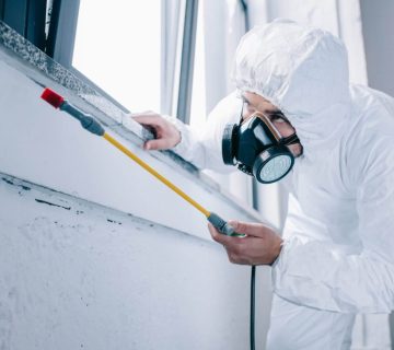 عقود مكافحة الحشرات من شركة التعاون للخدمات