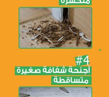 شركة مكافحة النمل الأبيض والآفات في الموج مسقط