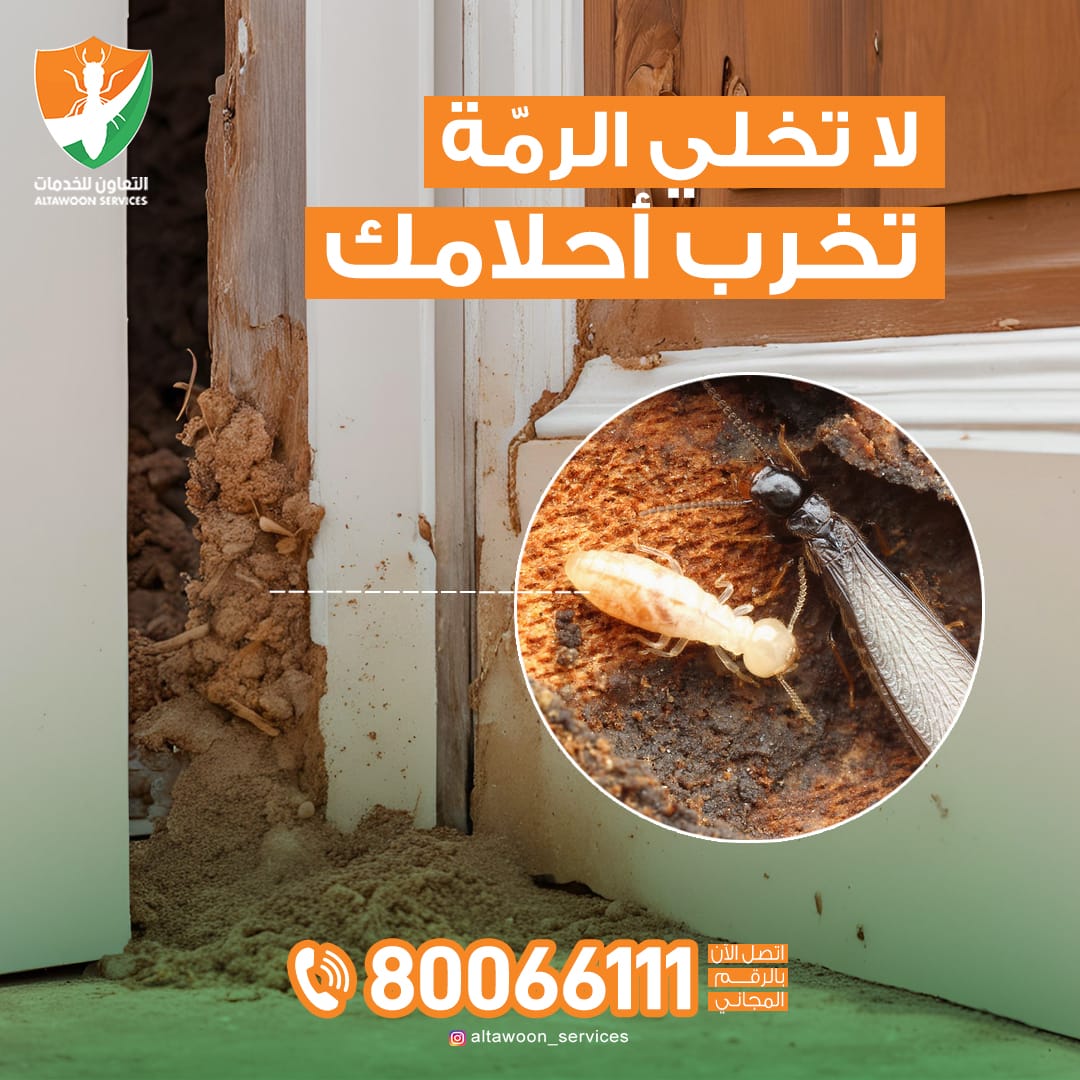 خدمات فحص النمل الأبيض الشاملة في مسقط