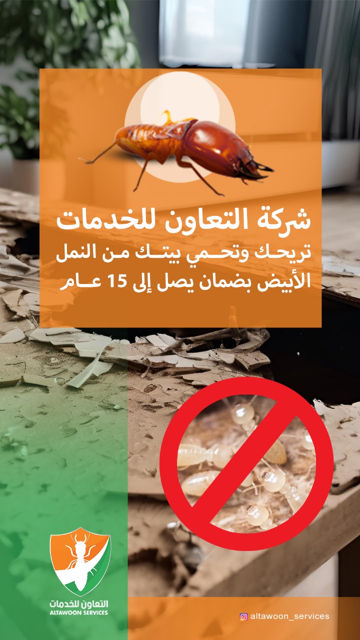 شركة مكافحة النمل الأبيض في مسقط – بدون تخريب للمكان