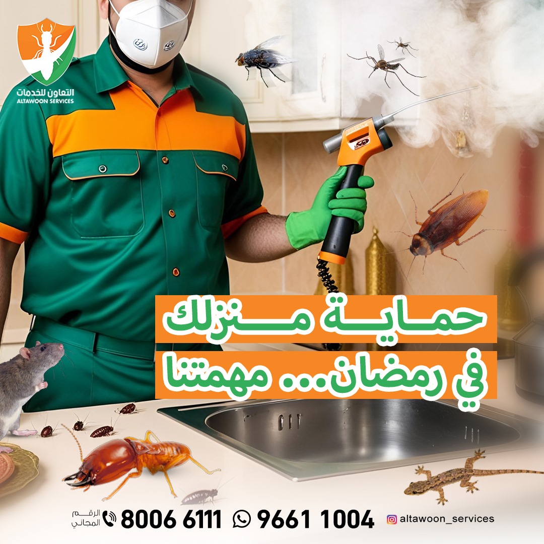 شركة مكافحة الرمة في نزوى – هل تعاني من تآكل الخشب؟