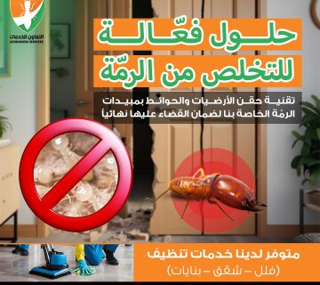 أفضل 5 شركات لمكافحة النمل الأبيض في مسقط مع ضمان