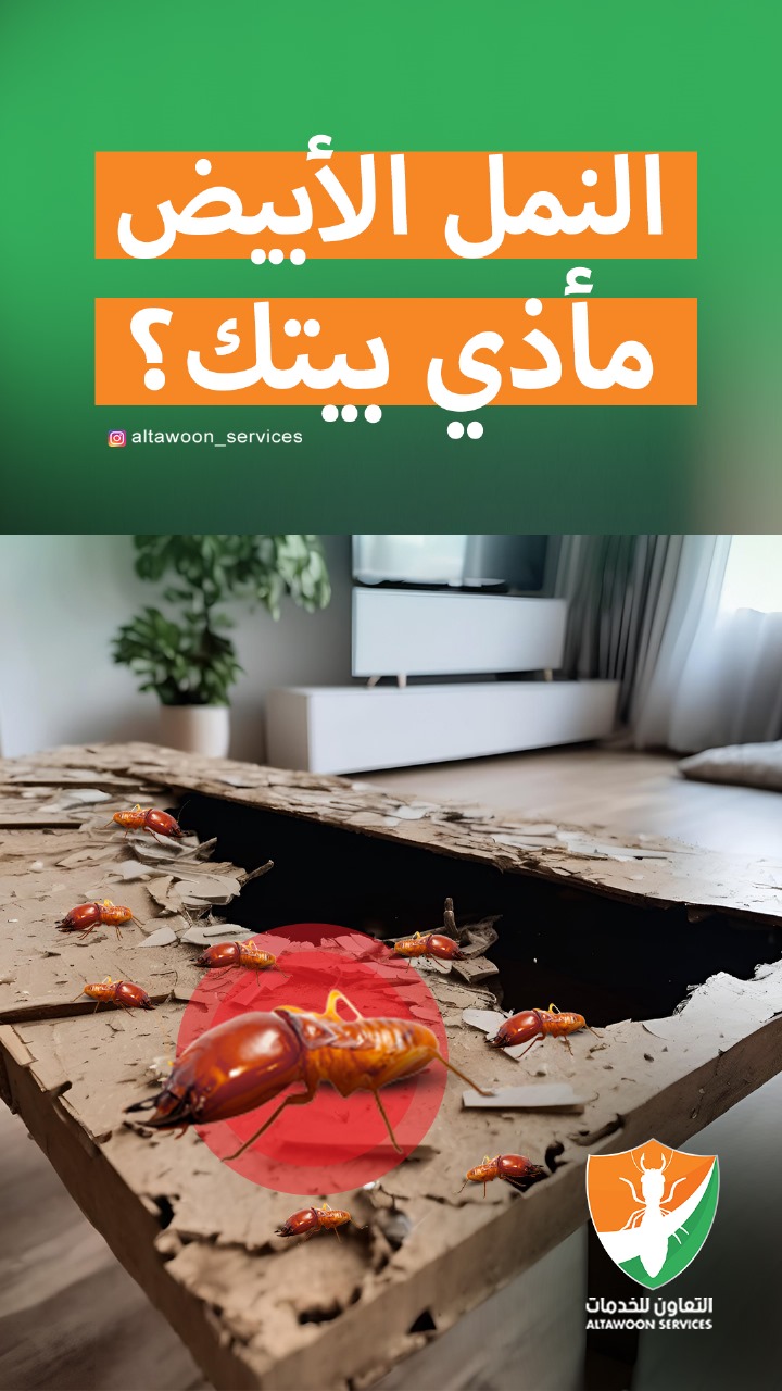 التخلص من الرمة في الخشب