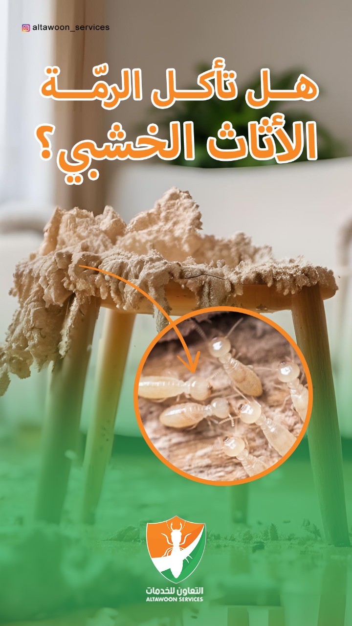 أفضل شركة مكافحة الرمة عمان