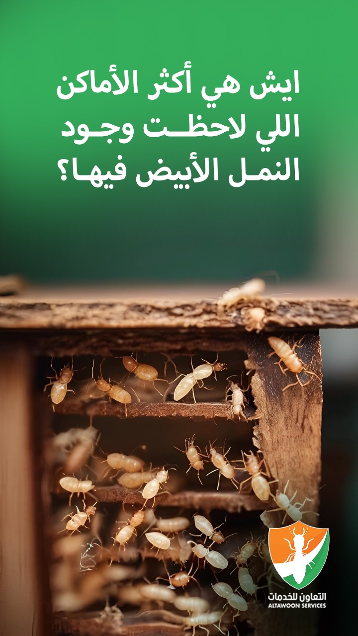 أفضل شركة مكافحة الرمة عمان