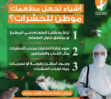 أفضل 5 شركات لمكافحة النمل الأبيض في مسقط مع ضمان