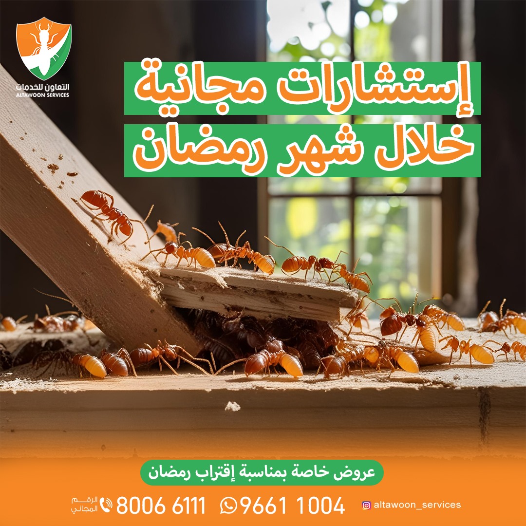الرمة في الأثاث الخشبي: علامات مبكرة وخطوات الوقاية