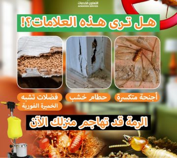 أفضل شركة مكافحة حشرات للشركات والمخازن في مسقط