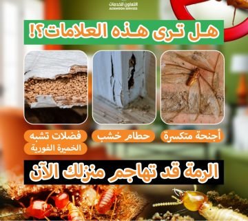 أضرار الرمة على المنازل