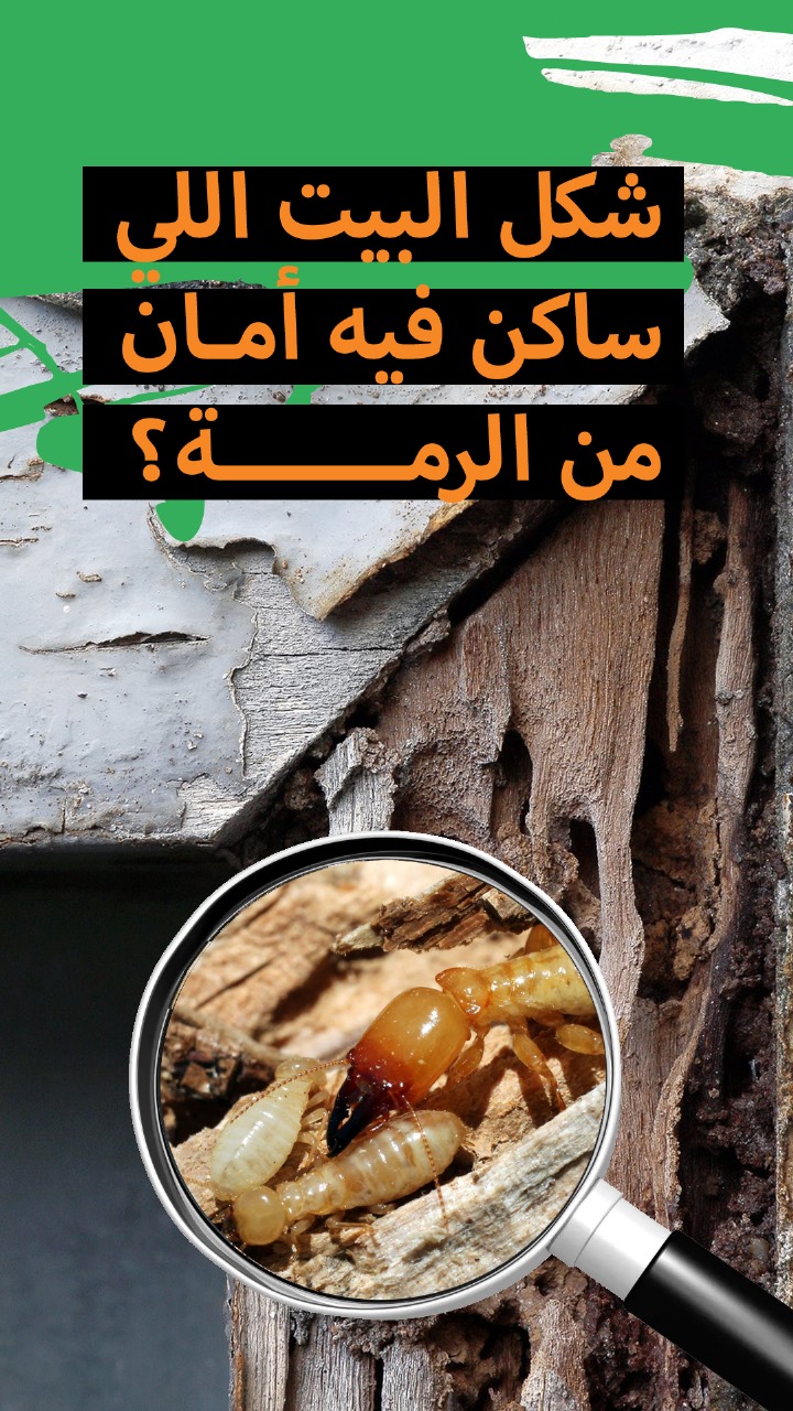 حماية المنشآت من الرمة