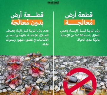 شركة مكافحة حشرات في مسقط مع مبيدات آمنة للأطفال