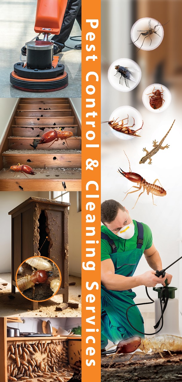 ضمان مكافحة الرمة 5 سنوات