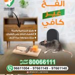 طريقة فحص وجود الرمة