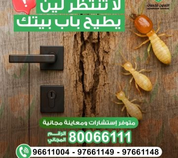 أفضل مبيد للرمة بدون رائحة في عمان