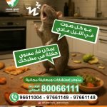 نموذج عقد اتفاق مكافحة حشرات معتمد في سلطنة عمان