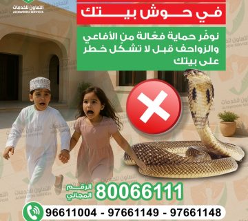 WhatsApp Image 2026 01 01 at 12 49 48 360x320