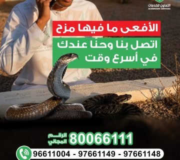 شركات مكافحة حشرات تقدم زيارات مجانية ضمن العقد السنوي مسقط