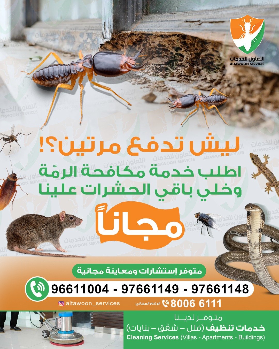 تكلفة العقد السنوي للوقاية من الرمة والنمل الأبيض في عمان