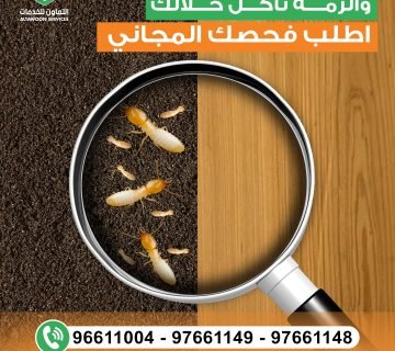 WhatsApp Image 2026 01 01 at 12 49 55 1 360x320
