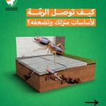 تنظيف بعد البناء أو الترميم في مسقط