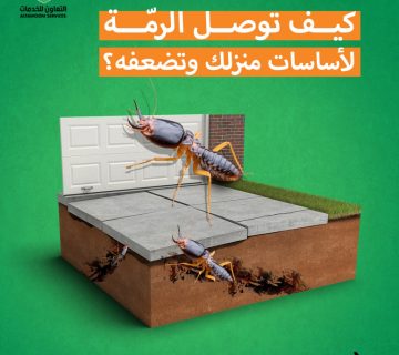 تنظيف بعد البناء أو الترميم في مسقط