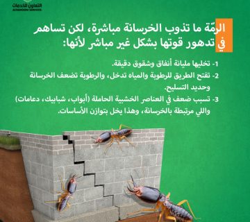 تكلفة مكافحة الرمة في عمان